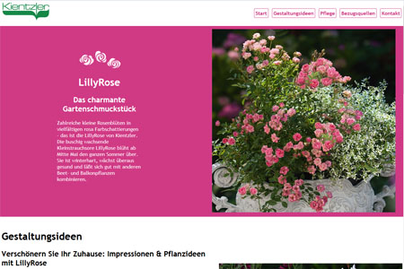 LillyRose online